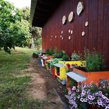 Su Leunaxiu Solèminis Kültér fotó